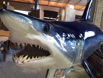 Shark Mounts Shark Replicas