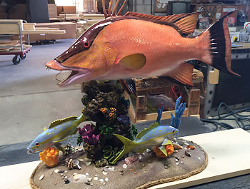 Custom creations, custom mounted fish replicas Custom creations, custom mounted fishmounts