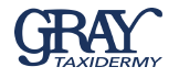Gray Taxidermy Official Logo Gray Taxidermy Footer logo